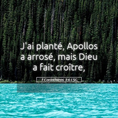 Picture 05 - 1 Corinthiens 3:6 LSG - J'ai planté, Apollos a arrosé, mais Dieu a fait - Bible Verse Picture
