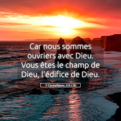 Picture 05 - 1 Corinthiens 3:9 LSG - Car nous sommes ouvriers avec Dieu. Vous êtes le - Bible Verse Picture