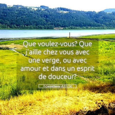 Picture 05 - 1 Corinthiens 4:21 LSG - Que voulez-vous? Que j'aille chez vous avec une - Bible Verse Picture