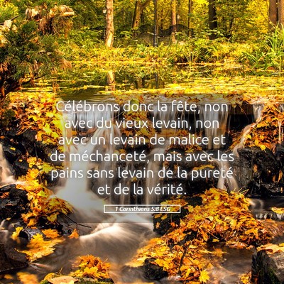 Picture 05 - 1 Corinthiens 5:8 LSG - Célébrons donc la fête, non avec du vieux - Bible Verse Picture