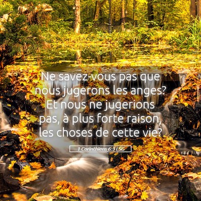 Picture 05 - 1 Corinthiens 6:3 LSG - Ne savez-vous pas que nous jugerons les anges? Et - Bible Verse Picture