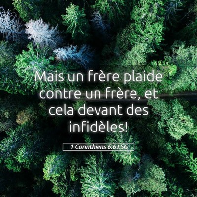 Picture 05 - 1 Corinthiens 6:6 LSG - Mais un frère plaide contre un frère, et cela - Bible Verse Picture