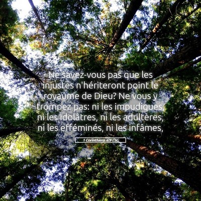 Picture 05 - 1 Corinthiens 6:9 LSG - Ne savez-vous pas que les injustes n'hériteront - Bible Verse Picture