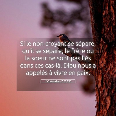 Picture 05 - 1 Corinthiens 7:15 LSG - Si le non-croyant se sépare, qu'il se sépare; - Bible Verse Picture