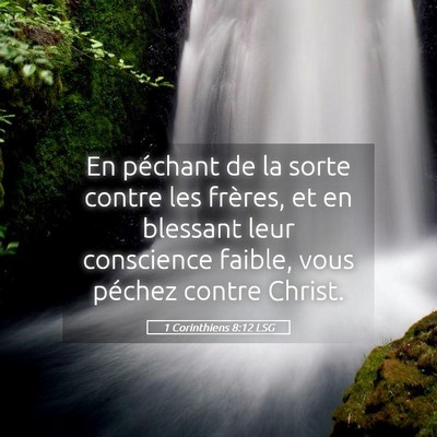 Picture 05 - 1 Corinthiens 8:12 LSG - En péchant de la sorte contre les frères, et en - Bible Verse Picture