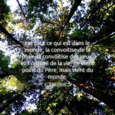 Picture 05 - 1 Jean 2:16 LSG - car tout ce qui est dans le monde, la convoitise - Bible Verse Picture