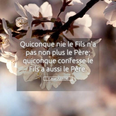 Picture 05 - 1 Jean 2:23 LSG - Quiconque nie le Fils n'a pas non plus le Père; - Bible Verse Picture