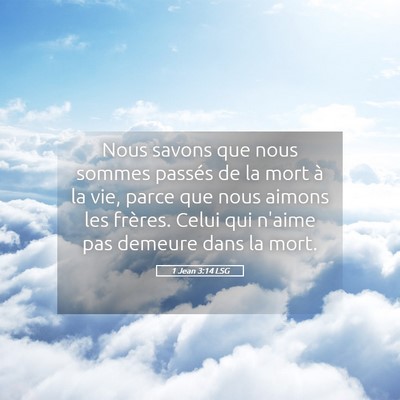 Picture 05 - 1 Jean 3:14 LSG - Nous savons que nous sommes passés de la mort à - Bible Verse Picture