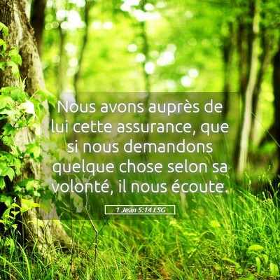 Picture 05 - 1 Jean 5:14 LSG - Nous avons auprès de lui cette assurance, que si - Bible Verse Picture