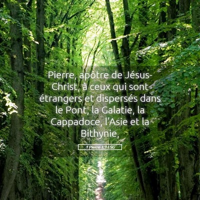 Picture 05 - 1 Pierre 1:1 LSG - Pierre, apôtre de Jésus-Christ, à ceux qui - Bible Verse Picture
