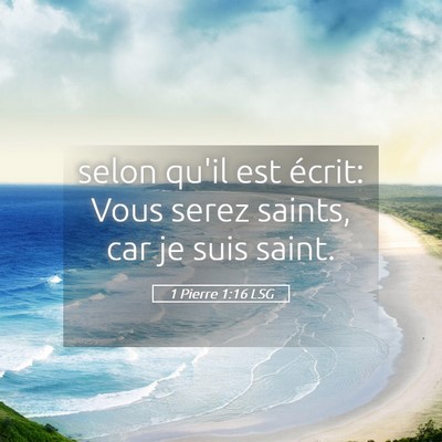 Picture 05 - 1 Pierre 1:16 LSG - selon qu'il est écrit: Vous serez saints, car je - Bible Verse Picture