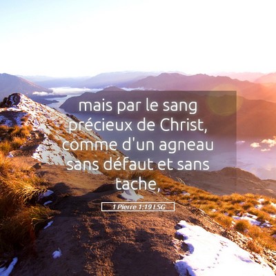 Picture 05 - 1 Pierre 1:19 LSG - mais par le sang précieux de Christ, comme d'un - Bible Verse Picture