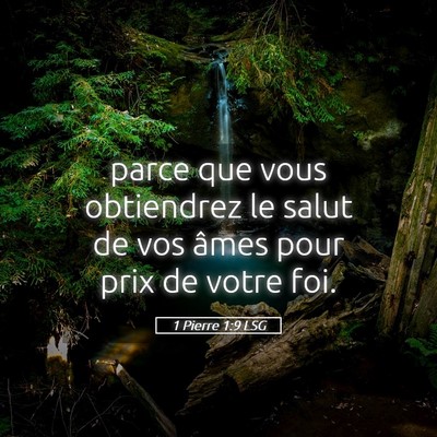 Picture 05 - 1 Pierre 1:9 LSG - parce que vous obtiendrez le salut de vos âmes - Bible Verse Picture