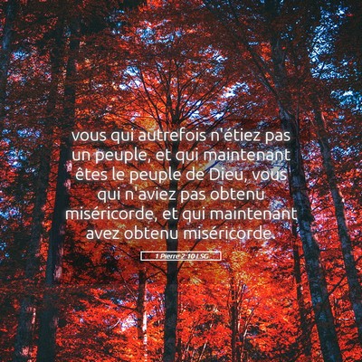 Picture 05 - 1 Pierre 2:10 LSG - vous qui autrefois n'étiez pas un peuple, et qui - Bible Verse Picture