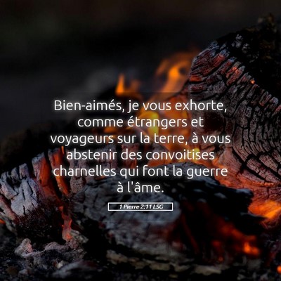 Picture 05 - 1 Pierre 2:11 LSG - Bien-aimés, je vous exhorte, comme étrangers et - Bible Verse Picture