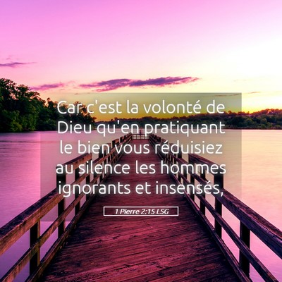 Picture 05 - 1 Pierre 2:15 LSG - Car c'est la volonté de Dieu qu'en pratiquant le - Bible Verse Picture