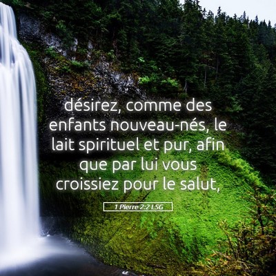 Picture 05 - 1 Pierre 2:2 LSG - désirez, comme des enfants nouveau-nés, le lait - Bible Verse Picture