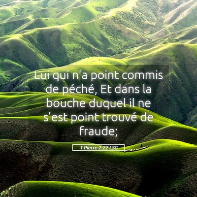 Picture 05 - 1 Pierre 2:22 LSG - Lui qui n'a point commis de péché, Et dans la - Bible Verse Picture