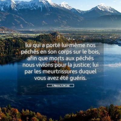 Picture 05 - 1 Pierre 2:24 LSG - lui qui a porté lui-même nos péchés en son - Bible Verse Picture