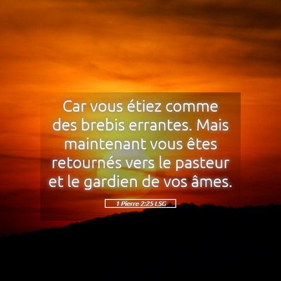Picture 05 - 1 Pierre 2:25 LSG - Car vous étiez comme des brebis errantes. Mais - Bible Verse Picture