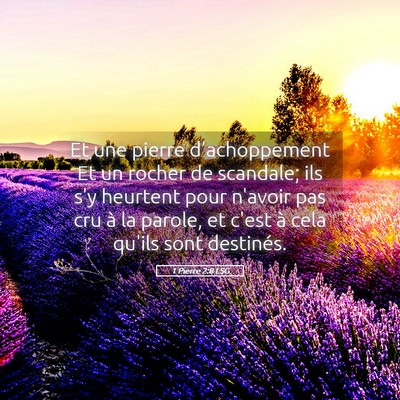 Picture 05 - 1 Pierre 2:8 LSG - Et une pierre d'achoppement Et un rocher de - Bible Verse Picture