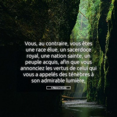 Picture 05 - 1 Pierre 2:9 LSG - Vous, au contraire, vous êtes une race élue, un - Bible Verse Picture