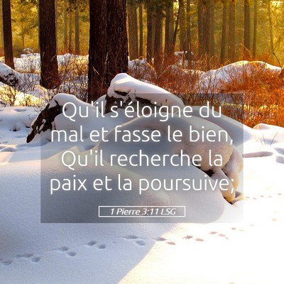 Picture 05 - 1 Pierre 3:11 LSG - Qu'il s'éloigne du mal et fasse le bien, Qu'il - Bible Verse Picture