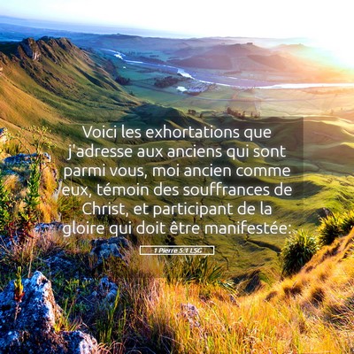 Picture 05 - 1 Pierre 5:1 LSG - Voici les exhortations que j'adresse aux anciens - Bible Verse Picture