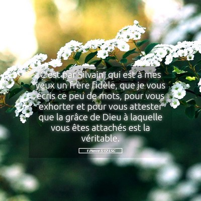 Picture 05 - 1 Pierre 5:12 LSG - C'est par Silvain, qui est à mes yeux un frère - Bible Verse Picture