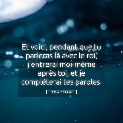 Picture 05 - 1 Rois 1:14 LSG - Et voici, pendant que tu parleras là avec le - Bible Verse Picture