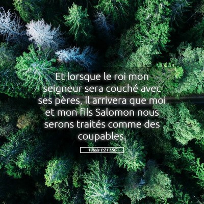 Picture 05 - 1 Rois 1:21 LSG - Et lorsque le roi mon seigneur sera couché avec - Bible Verse Picture