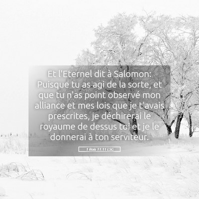 Picture 05 - 1 Rois 11:11 LSG - Et l'Eternel dit à Salomon: Puisque tu as agi de - Bible Verse Picture