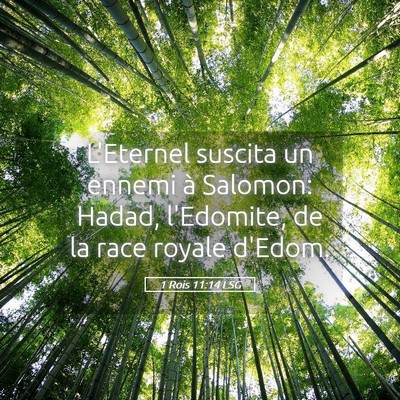 Picture 05 - 1 Rois 11:14 LSG - L'Eternel suscita un ennemi à Salomon: Hadad, - Bible Verse Picture