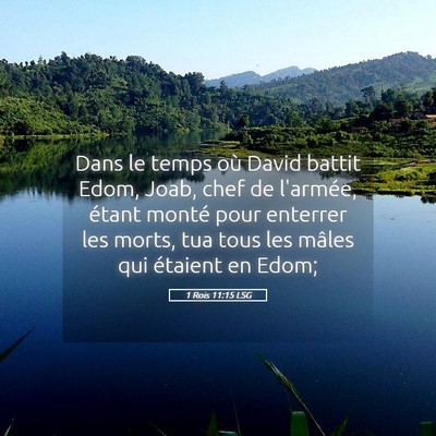 Picture 05 - 1 Rois 11:15 LSG - Dans le temps où David battit Edom, Joab, chef - Bible Verse Picture
