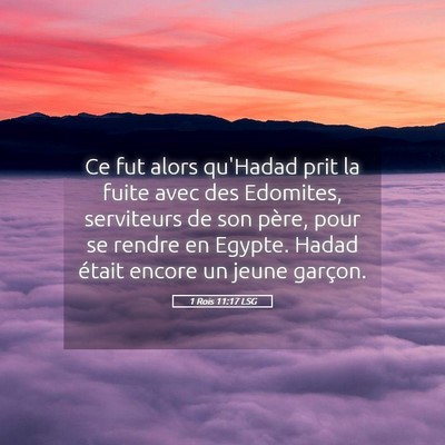 Picture 05 - 1 Rois 11:17 LSG - Ce fut alors qu'Hadad prit la fuite avec des - Bible Verse Picture