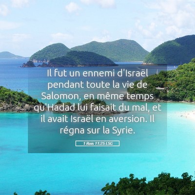 Picture 05 - 1 Rois 11:25 LSG - Il fut un ennemi d'Israël pendant toute la vie - Bible Verse Picture