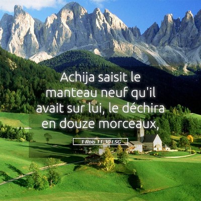 Picture 05 - 1 Rois 11:30 LSG - Achija saisit le manteau neuf qu'il avait sur - Bible Verse Picture