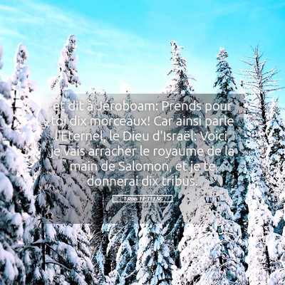 Picture 05 - 1 Rois 11:31 LSG - et dit à Jéroboam: Prends pour toi dix - Bible Verse Picture