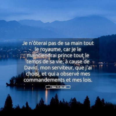 Picture 05 - 1 Rois 11:34 LSG - Je n'ôterai pas de sa main tout le royaume, car - Bible Verse Picture