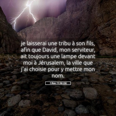 Picture 05 - 1 Rois 11:36 LSG - je laisserai une tribu à son fils, afin que - Bible Verse Picture