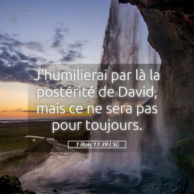 Picture 05 - 1 Rois 11:39 LSG - J'humilierai par là la postérité de David, - Bible Verse Picture