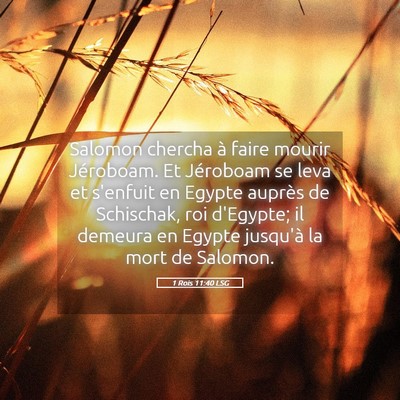 Picture 05 - 1 Rois 11:40 LSG - Salomon chercha à faire mourir Jéroboam. Et - Bible Verse Picture