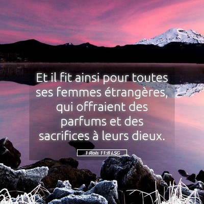 Picture 05 - 1 Rois 11:8 LSG - Et il fit ainsi pour toutes ses femmes - Bible Verse Picture