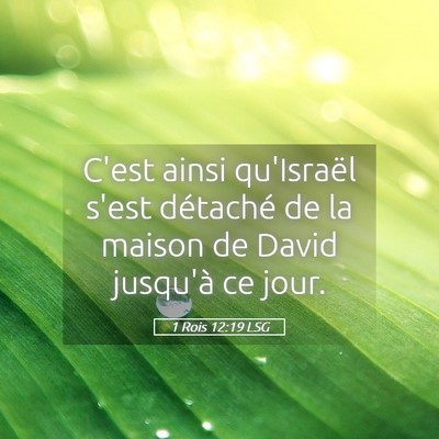 Picture 05 - 1 Rois 12:19 LSG - C'est ainsi qu'Israël s'est détaché de la - Bible Verse Picture