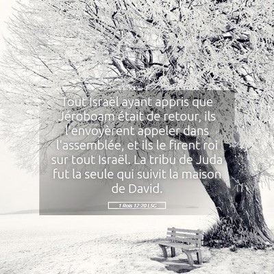 Picture 05 - 1 Rois 12:20 LSG - Tout Israël ayant appris que Jéroboam était de - Bible Verse Picture