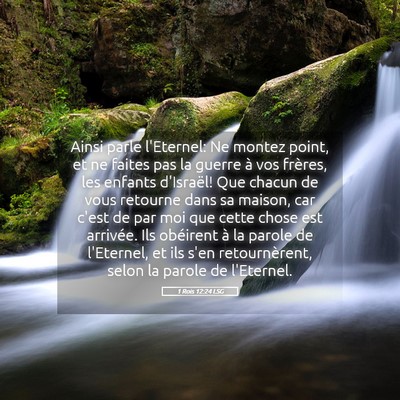 Picture 05 - 1 Rois 12:24 LSG - Ainsi parle l'Eternel: Ne montez point, et ne - Bible Verse Picture
