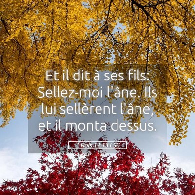 Picture 05 - 1 Rois 13:13 LSG - Et il dit à ses fils: Sellez-moi l'âne. Ils lui - Bible Verse Picture