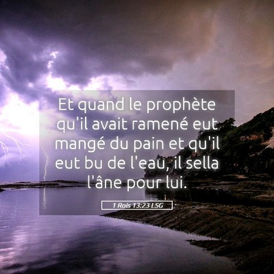 Picture 05 - 1 Rois 13:23 LSG - Et quand le prophète qu'il avait ramené eut - Bible Verse Picture