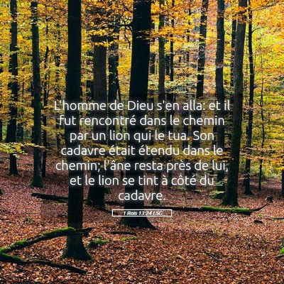 Picture 05 - 1 Rois 13:24 LSG - L'homme de Dieu s'en alla: et il fut rencontré - Bible Verse Picture