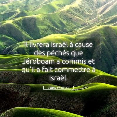 Picture 05 - 1 Rois 14:16 LSG - Il livrera Israël à cause des péchés que - Bible Verse Picture